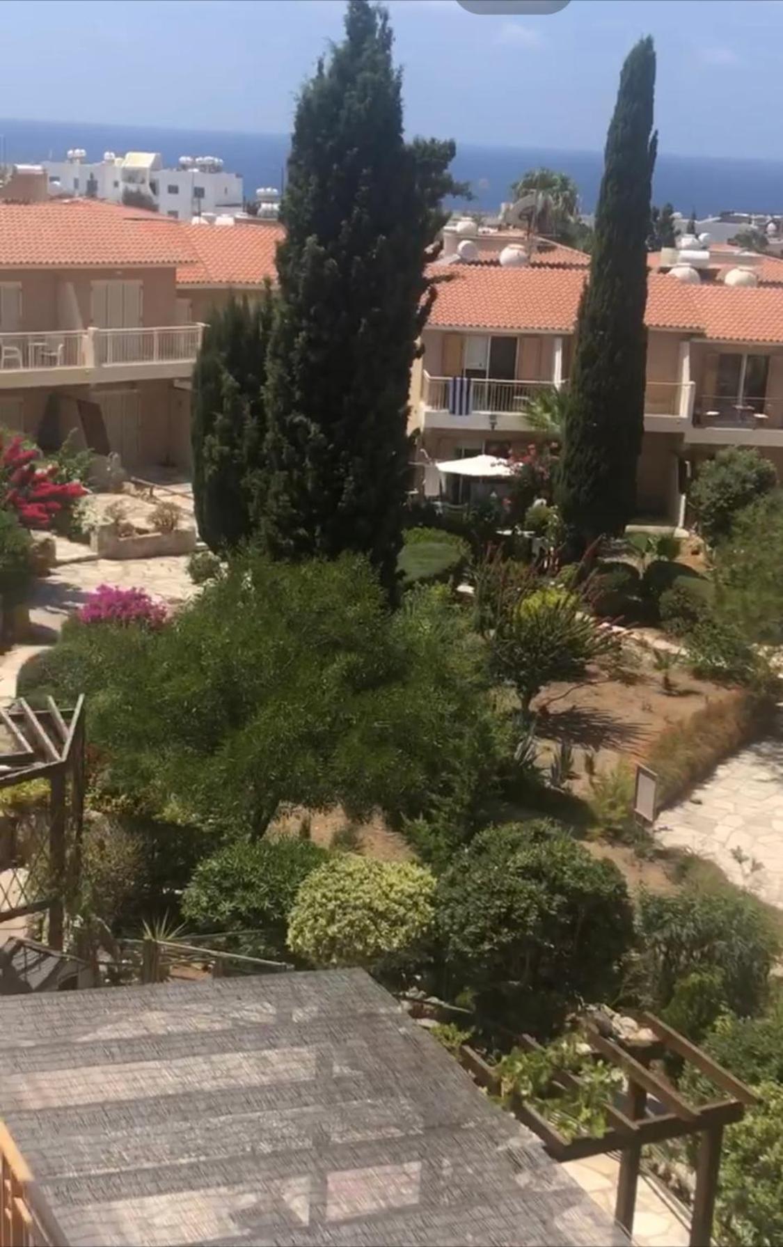 Newly Renovated- Regina Gardens 1, Venus Beach 500 M, Sea&Sunsets View, License Ooo7141 Paphos Exterior photo